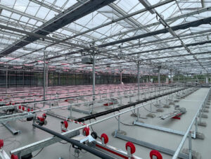 Das Schienensystem der Dachfarm transportiert die Salattrays automatisch vom Einsatz bis zur Ernte